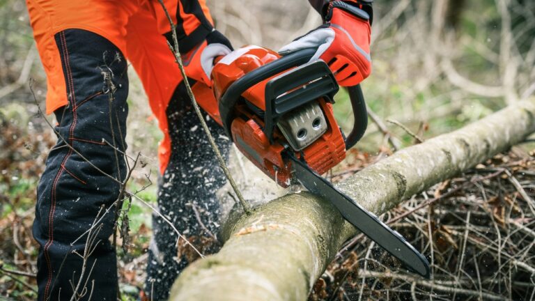 How to stretch $500 when fixing up land