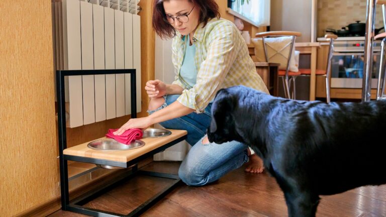 10 Things You Forgot to Disinfect This Month