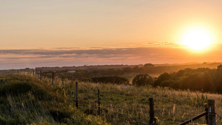 10 Things You’ll Only Understand After Moving to the Country