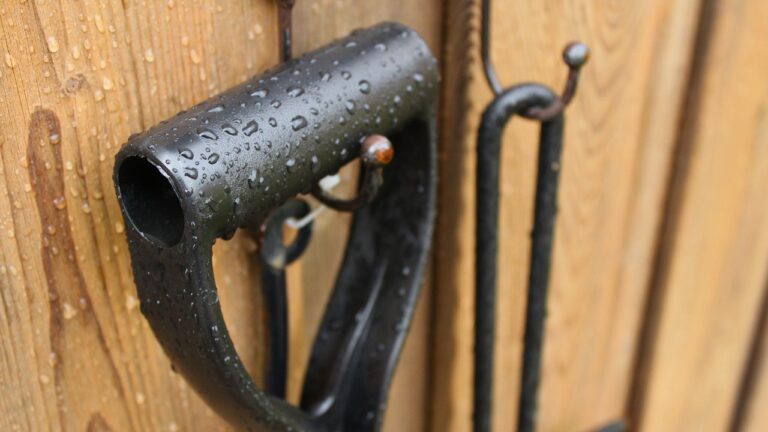 9 Things In Your Yard That Can Get Damaged by Morning Dew Alone