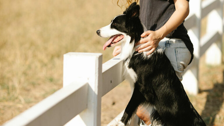 11 things only rural dog owners deal with (that city people don’t get)