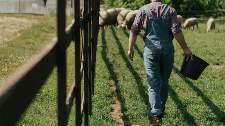 9 Habits That Made Country Living Way More Work
