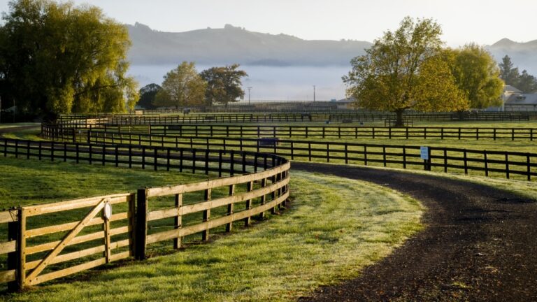 10 Features That Actually Make Your Land More Valuable