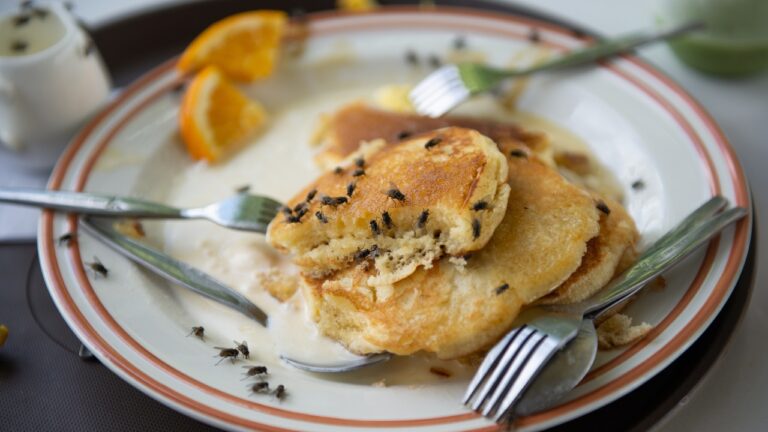 10 Things in Your House That Are Basically Bug Magnets