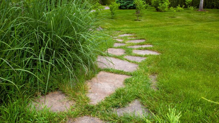 10 Things in Your Yard That Are Basically Free Housing for Ticks