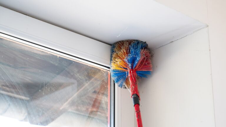 9 Things You Can Do Today to Keep Spiders Out of the House