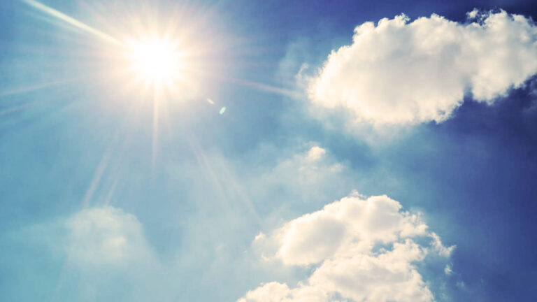 10 Things You Should Never Leave Out During a Heat Wave