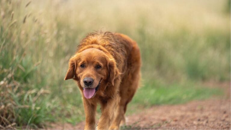 Things You Shouldn’t Do During a Texas Summer