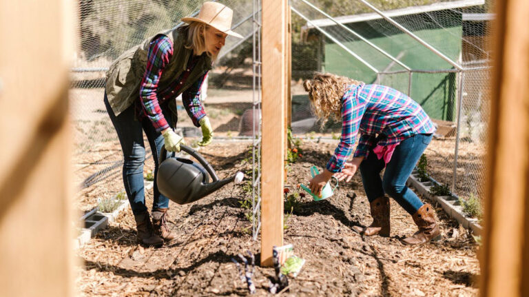 10 Homesteading Mistakes That’ll Cost You More Than You Think