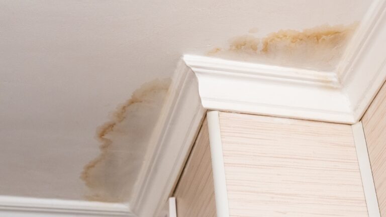 10 Signs a House Wasn’t Cared For Before You Bought It