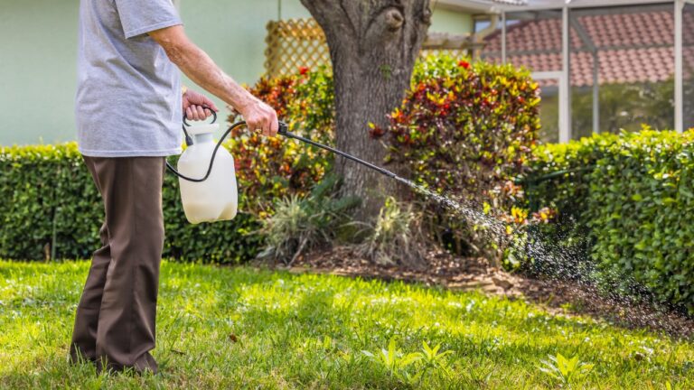 10 Things You Should Stop Doing to Your Yard During a Heat Wave