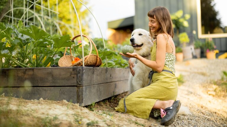10 Ways to Keep Your Dog Out of the Garden Without a Fence