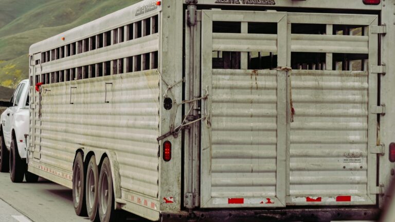 10 Things You Shouldn’t Leave in a Livestock Trailer