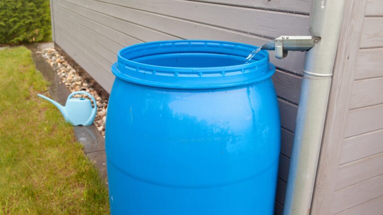 What You’ll Wish You’d Known Before Setting Up a Water Tank