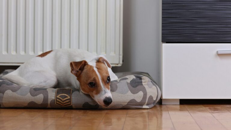 10 Things You’ve Probably Got Too Close to the Heat Source