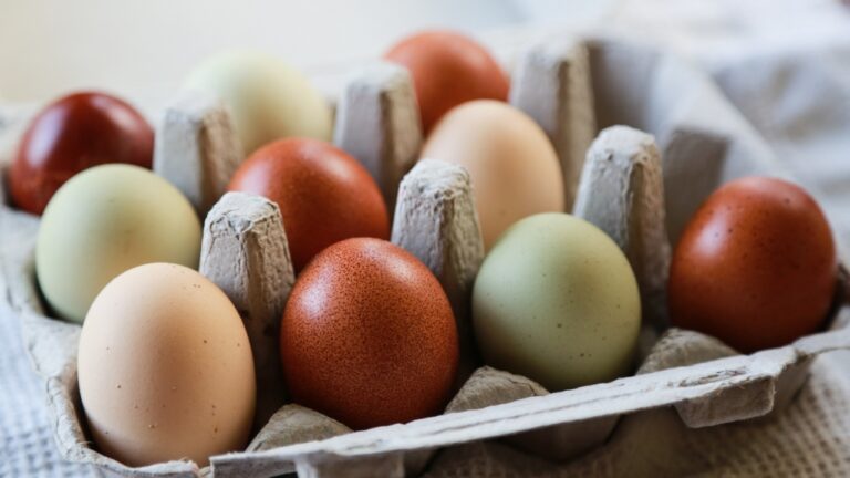 8 chicken breeds that lay eggs in crazy colors