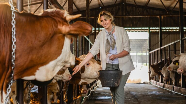 10 farm animals that always make people smile