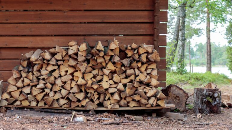 10 Storage Habits That Will Ruin Good Firewood Fast