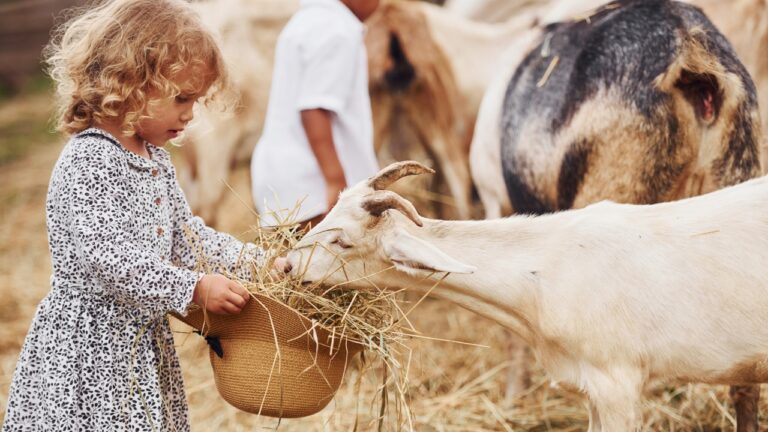 10 farm animals that won’t scare the kids