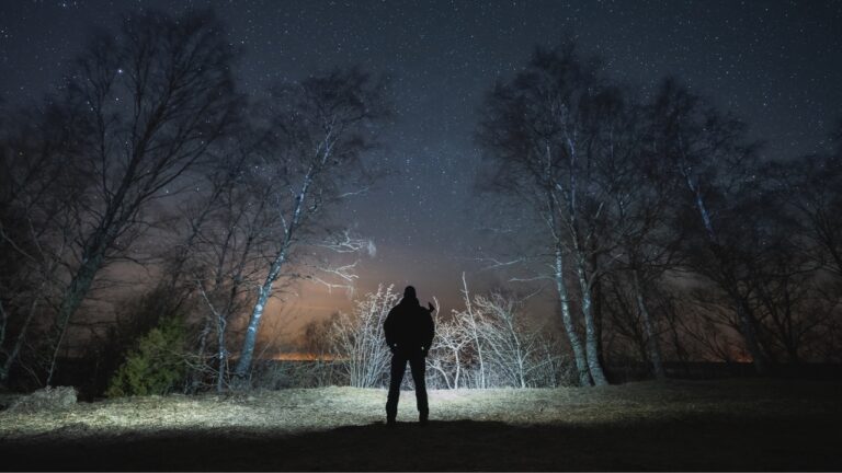 What We Actually Reach for When Something’s Rustling in the Yard