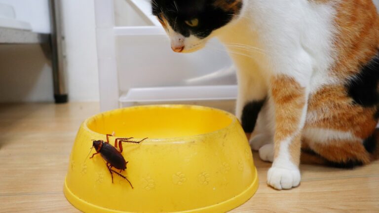 Feeding Habits That Are Attracting Bugs Fast