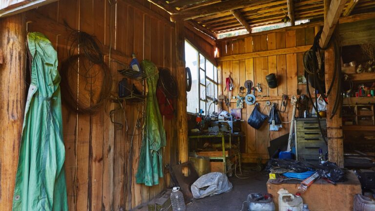 8 Things You Shouldn’t Let Pile Up in the Shed (Even If They Fit)