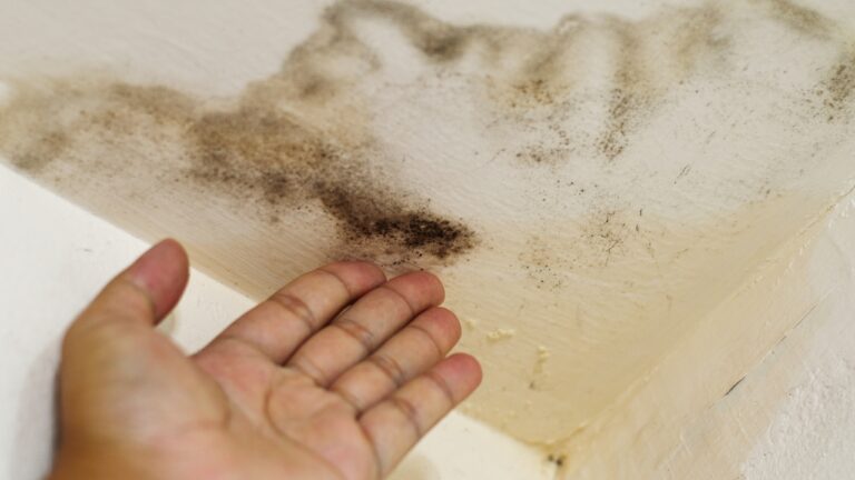 12 signs a leak is hiding somewhere in your house