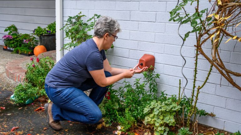 9 things to check before the first freeze hits