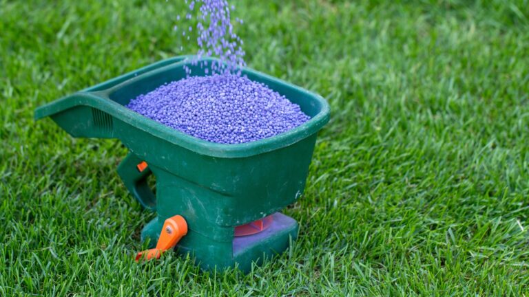9 ways to stop wasting $50 a month on lawn care products