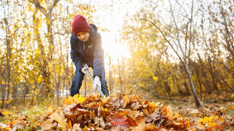 10 Chores Kids Always Got Stuck With in the ‘70s