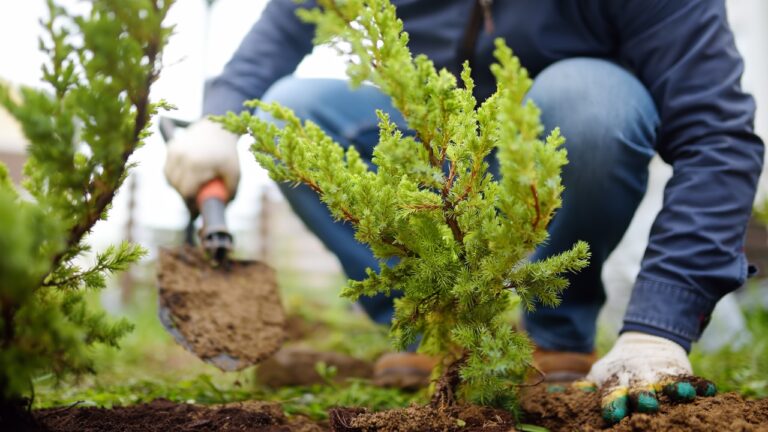 10 weekend projects that make a big impact for under $250