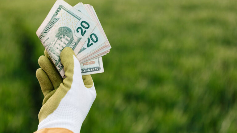 Why spending $20 here saves you $200 later