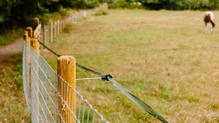 Man Says He Found Out the Fence He Paid For Wasn’t Actually on His Property