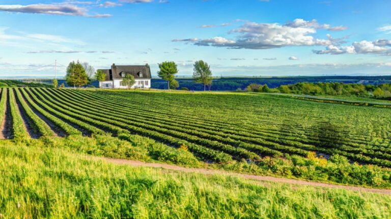 7 habits that wear out your land faster than you think