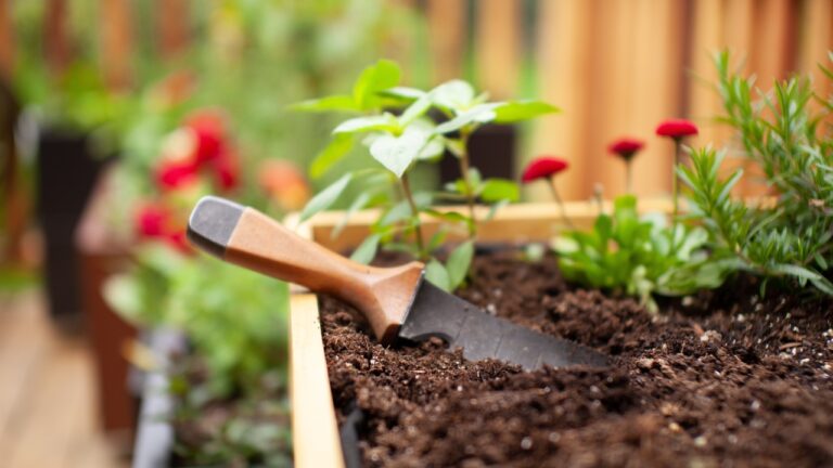7 Garden Tools You’ll Wish You Bought Sooner
