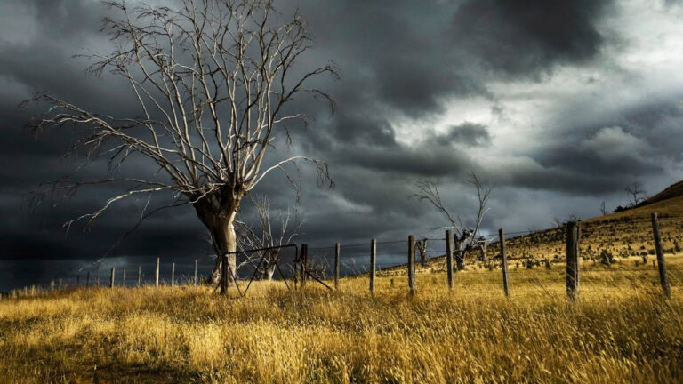 What to Stock Before the Next Big Storm