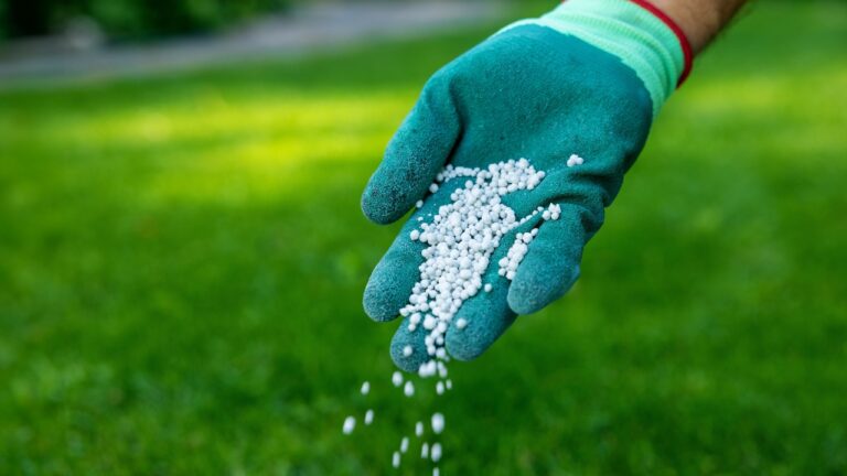 The top-rated organic fertilizers for a greener, thicker lawn