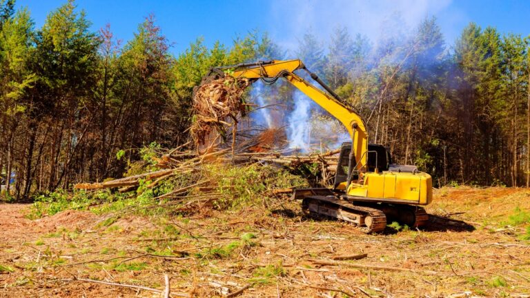 10 upgrades that could be wrecking your soil