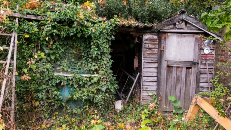 7 ways your outbuildings are signaling that you’re unprepared