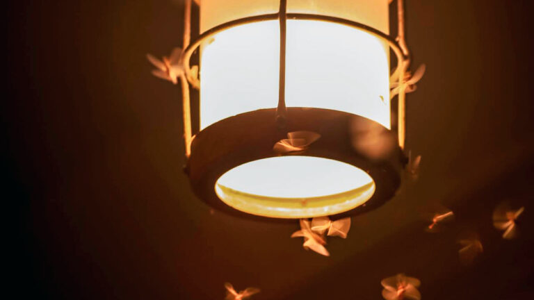 10 things that invite pests right up to your front door