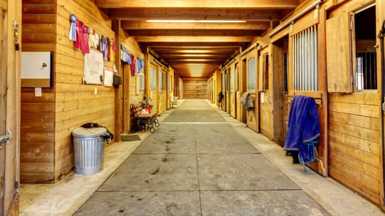 $100 upgrades that make the biggest difference in the barn