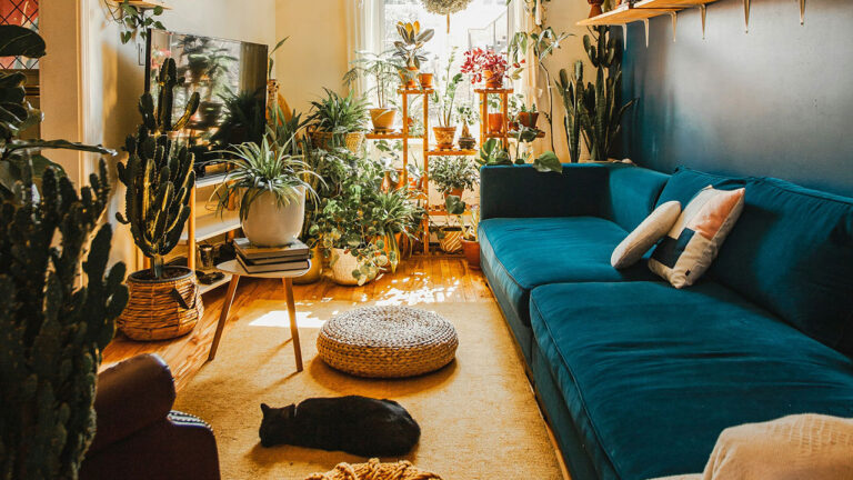 Your house feels smaller because of this one design choice