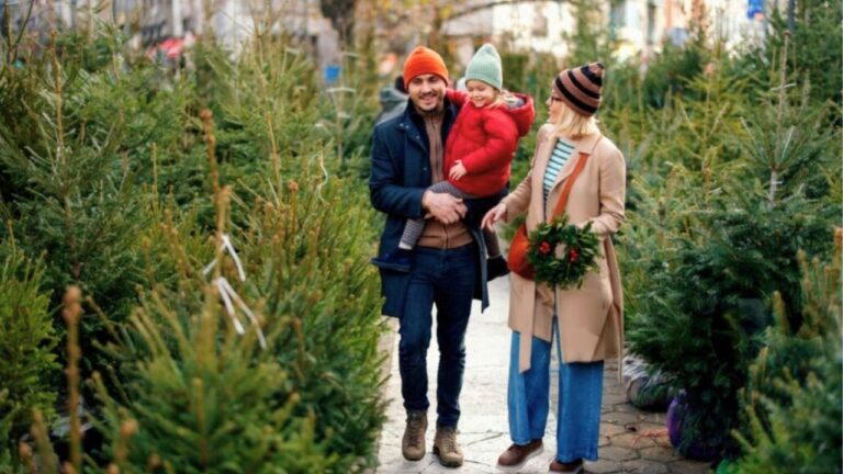 The best day to book a Christmas tree lot and why it matters