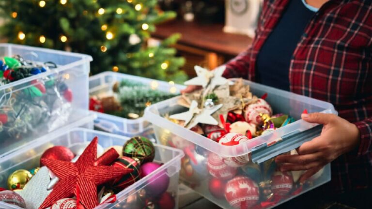 The holiday storage bins that stop mystery smells next year