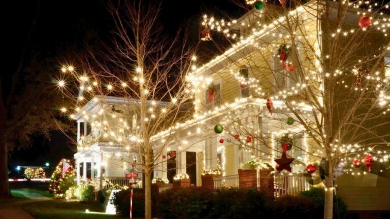 The Right Way to Store Your Lights So You Don’t Regret It Next Year