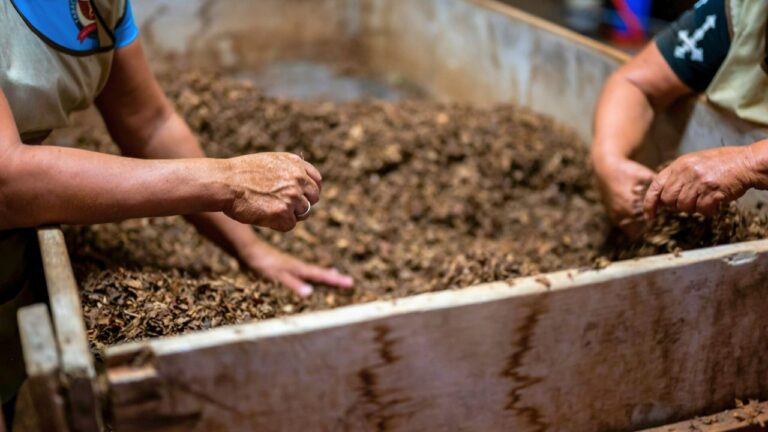 What to compost in winter and what to skip