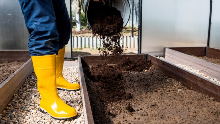 10 Things You Can Do Now for a Better Spring Garden