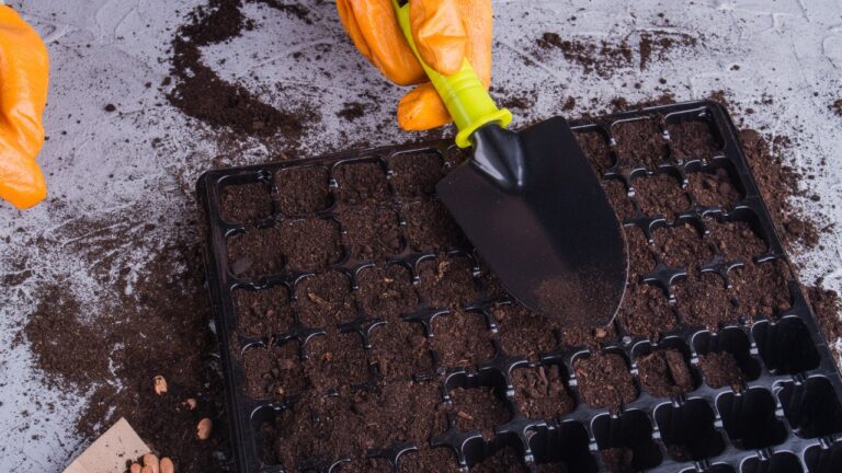 12 seed-starting supplies to gather before shelves sell out