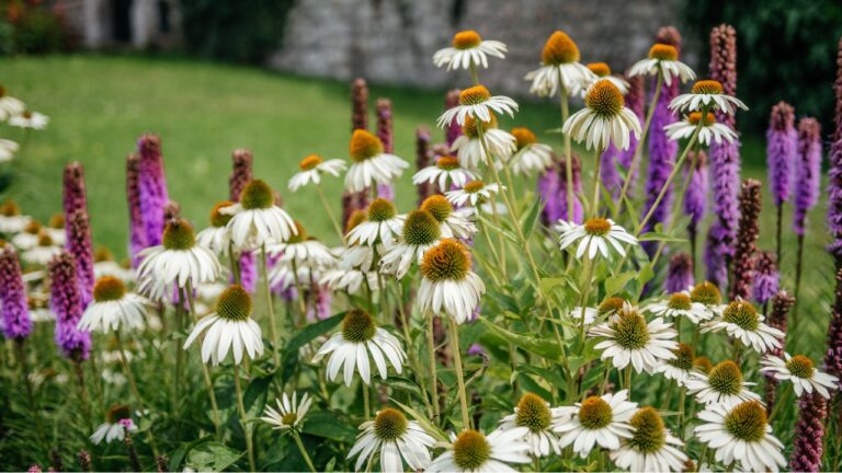 5 Garden Trends to Watch in 2026