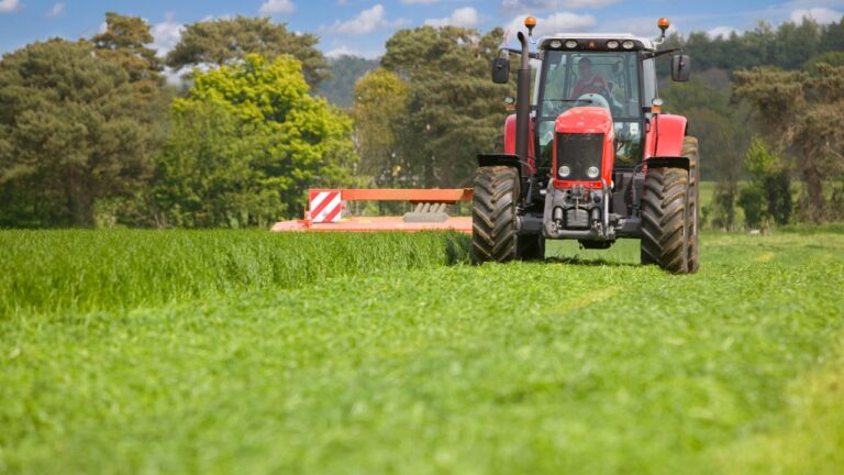 You’re proud of your pasture—but don’t miss this hidden expense